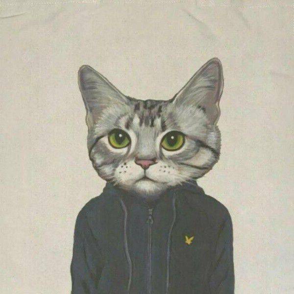 Acender